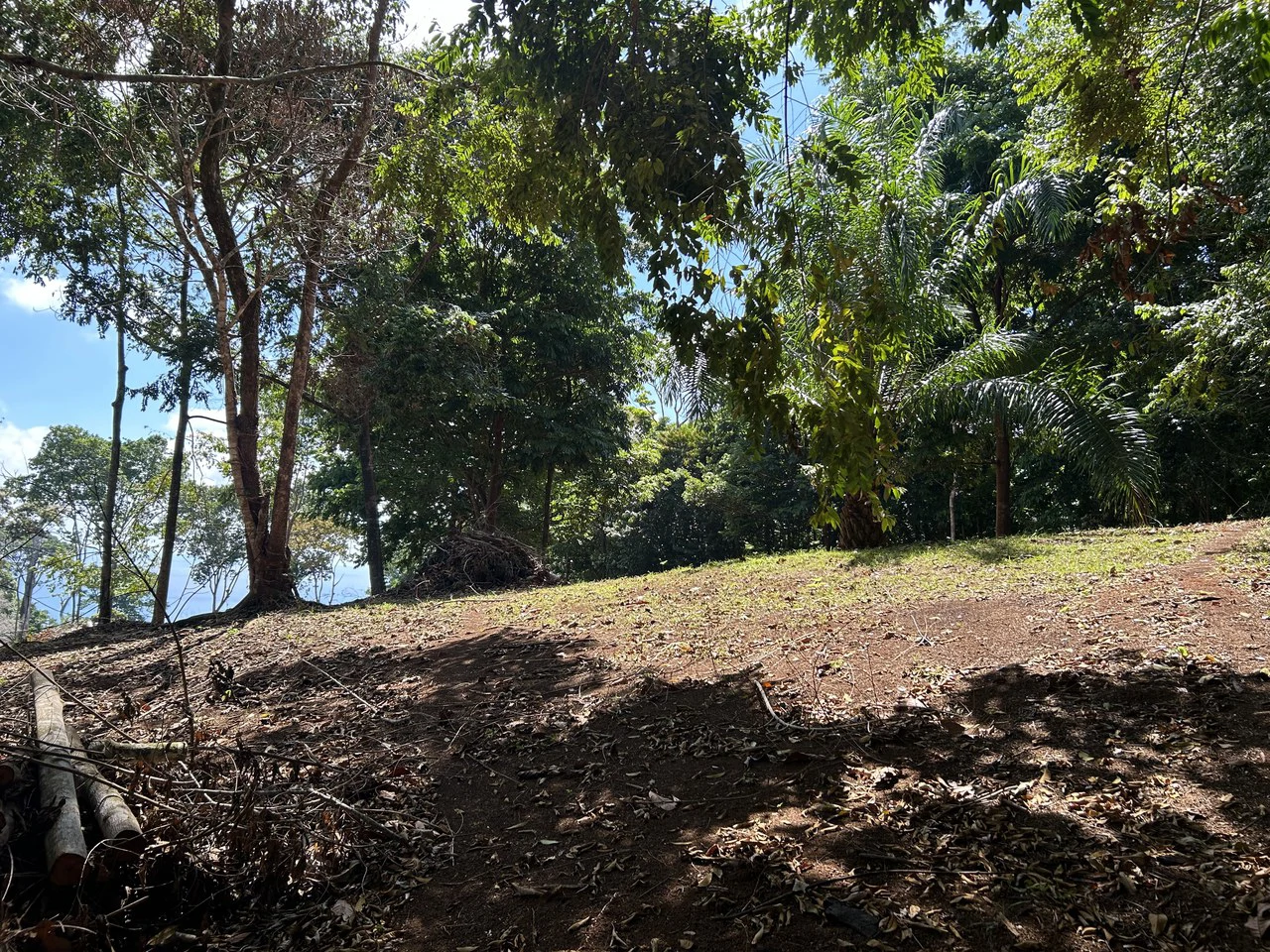 Cabo Matapalo:  3.8 Acre Ocean View Lot In Peninsula De Osa, Golfo Dulce - Gallery image 2