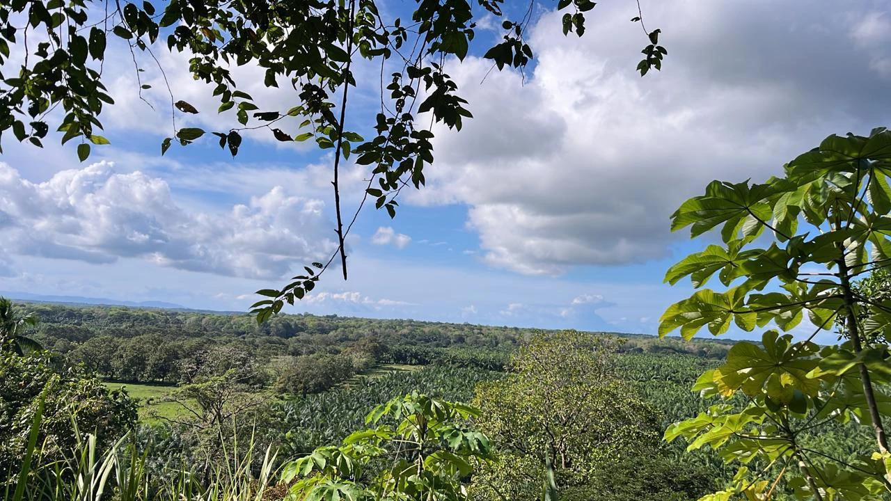 Near the Coast Home Construction Site For Sale in Ciudad Cortés - Gallery image 4