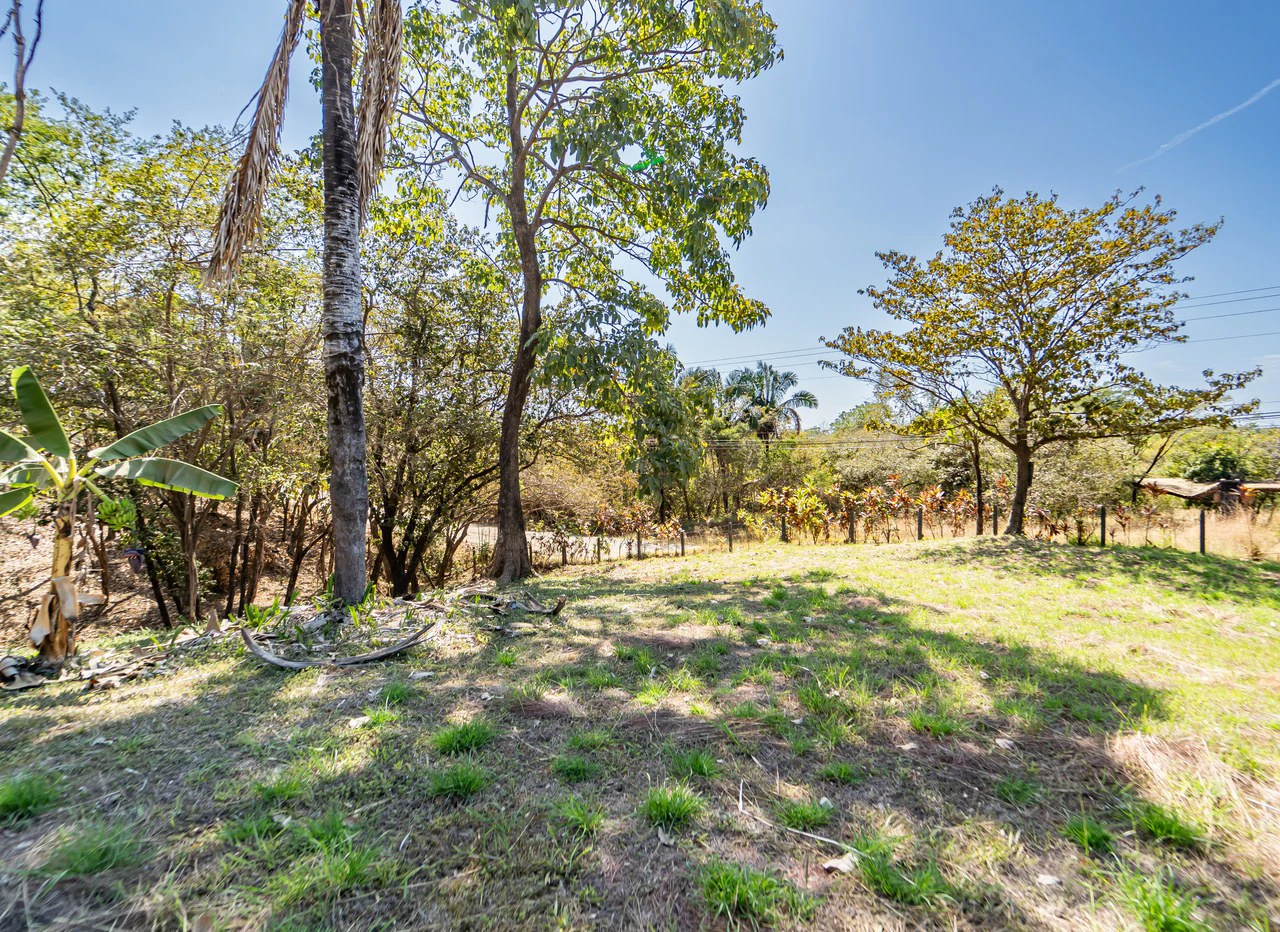 Lote Camaronal Natural: Half Acre Lot Just Mins to the Surf - Gallery image 6
