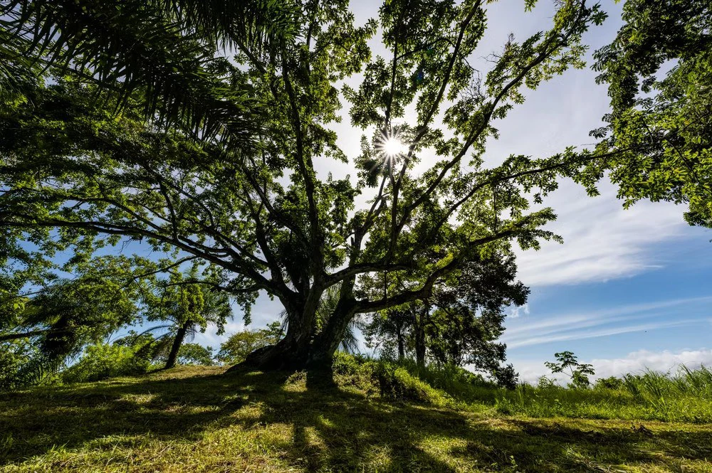 Ocean view farm for sale in Bejuco Nandayure Guanacaste Costa Rica - Gallery image 5