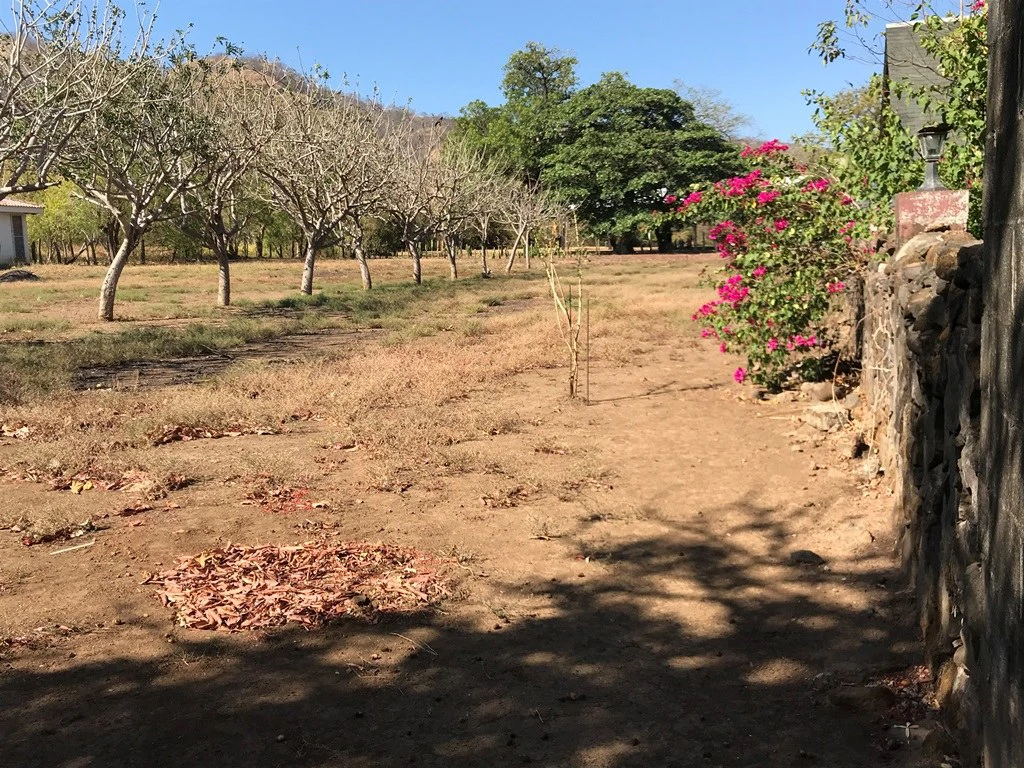 Property in Playas del Coco - Gallery image 8