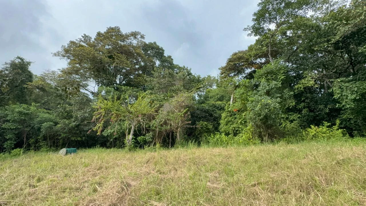 6000m2 Land Near Montezuma and Santa Teresa: ixed use, commercial and residential - Gallery image 4