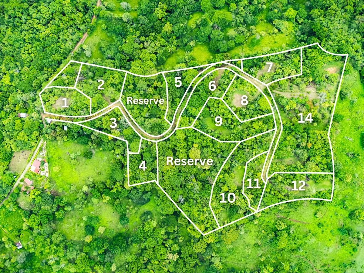 The Refuge: Ecological Lots in Hojancha Blue Zone