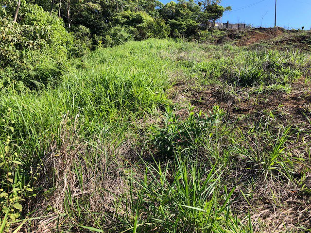 1.24 ACRES – Alto de San Juan, TOP OF THE WORLD VIEWS, Cool Breezes, Ready to Build Your Dream!!!!!: Mountain Development Parcel For Sale in Alto San Juan - Gallery image 10