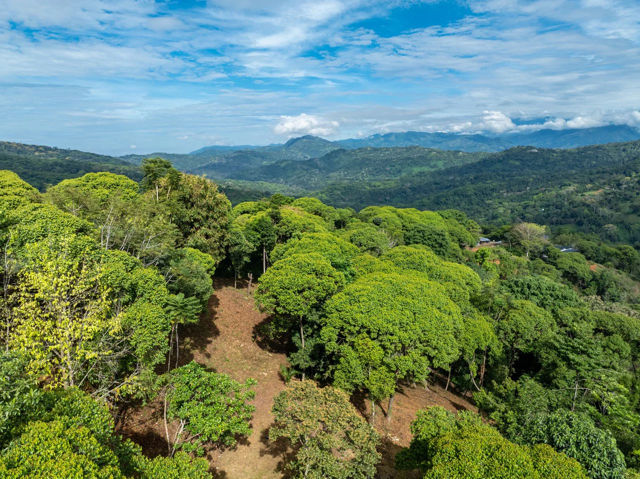 2.9 Acre Paradise with Diamante Valley Views Dominical - Gallery image 5