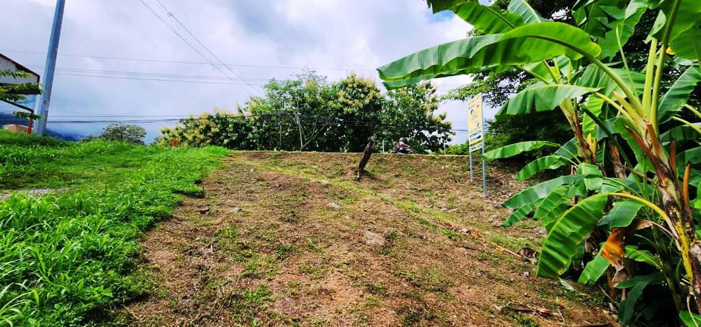 Highway Front Lot in Uvita with Commercial Potential - Gallery image 6