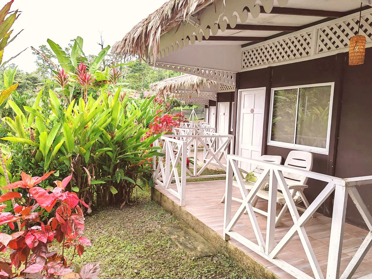 ID: Cahuita Multi Unit Rental Property - 5 Studios, 650m to the Beach - photo 5