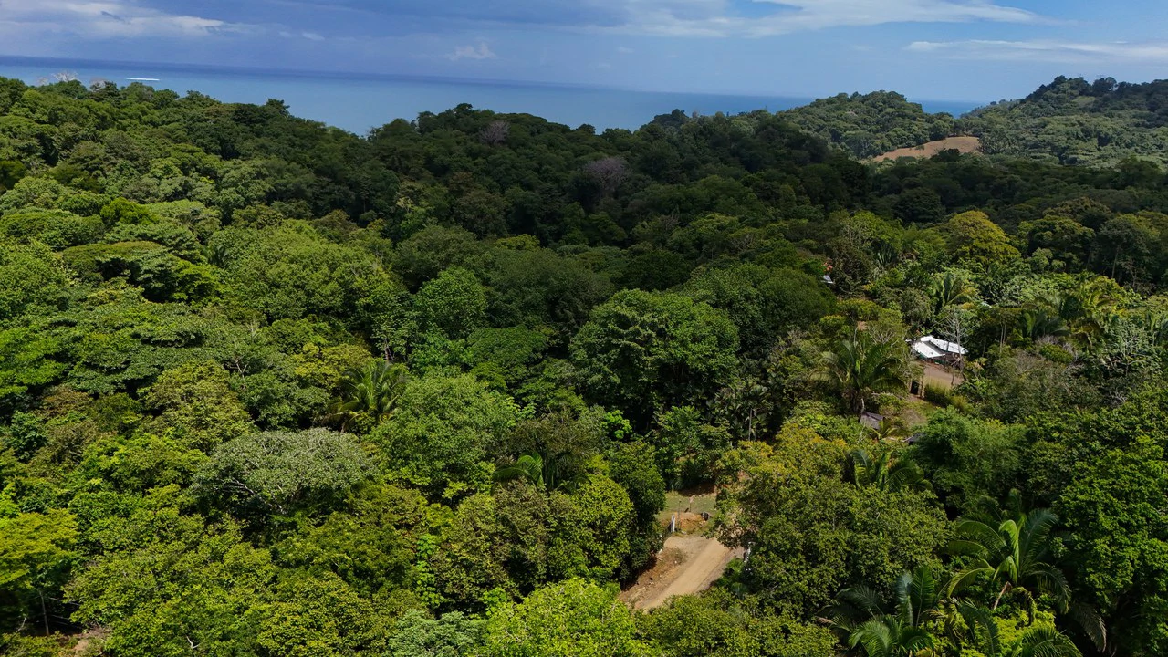 Beautiful Lot Ready to Built in Playa Hermosa, Osa with a Creek - Gallery image 3