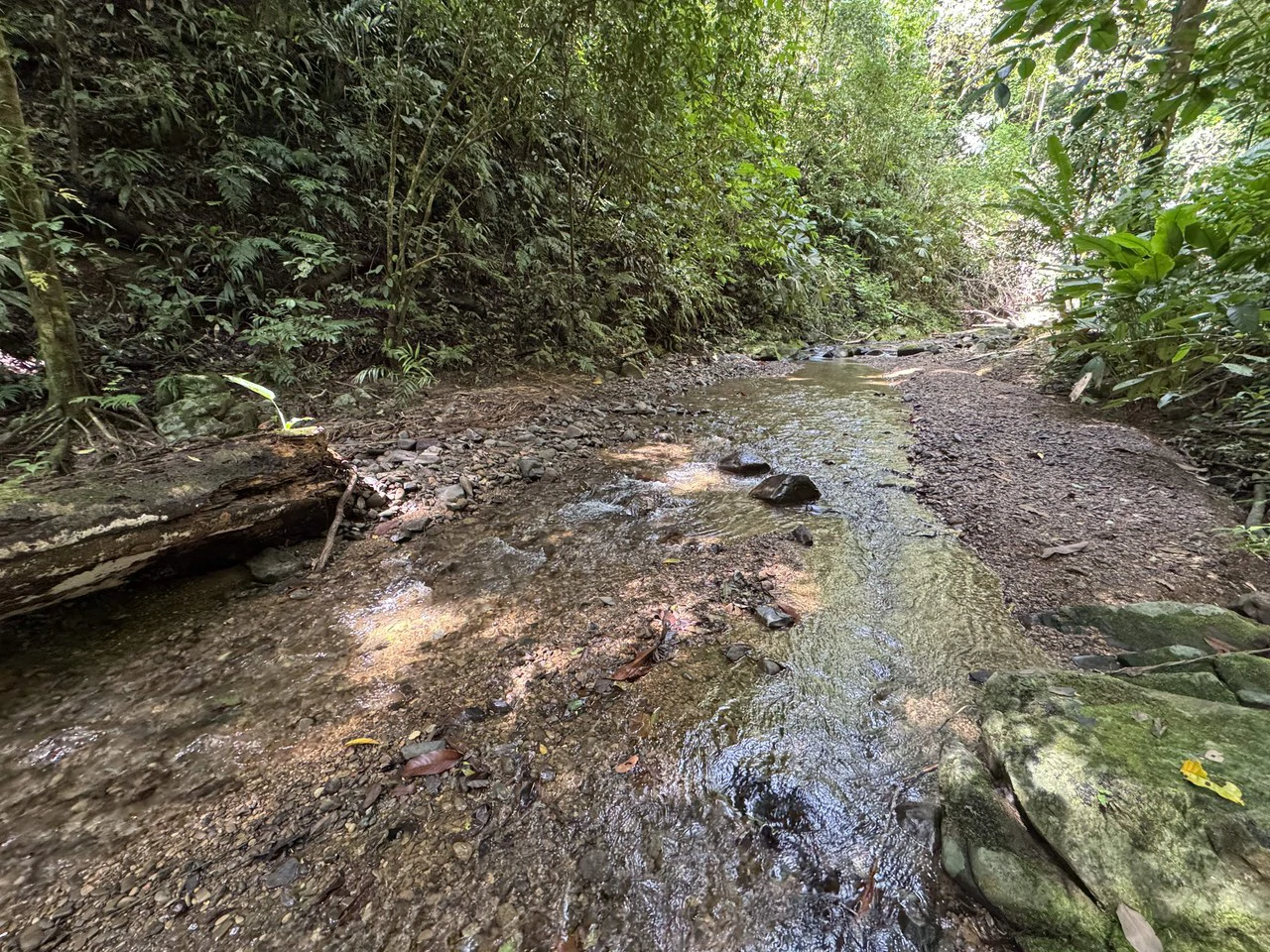 23.5 Acre Waterfall & Riverfront Estate Bahia Ballena Osa Peninsula - Gallery image 17