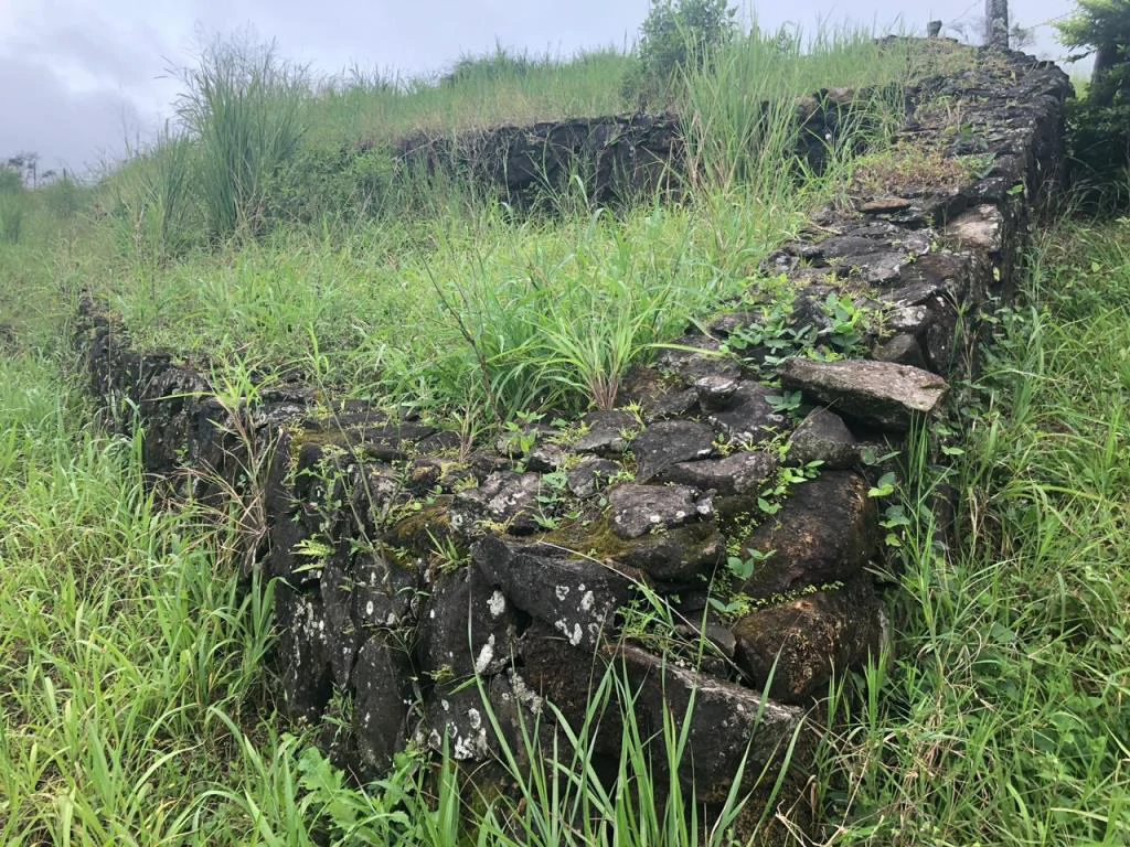 Lot with High Development Potential in Bijagua, Valle de Miravalles, Costa Rica - Gallery image 7