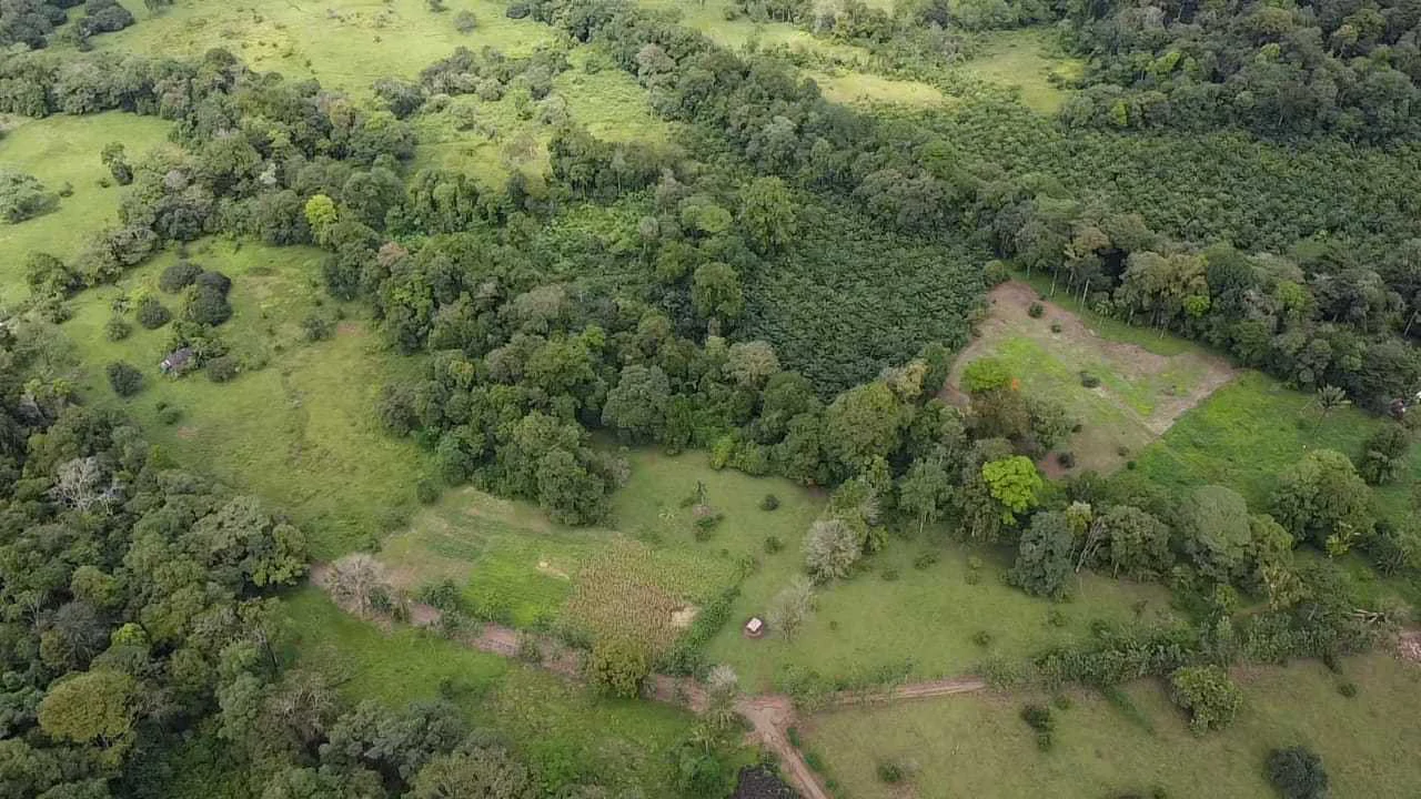 23 Acres of Paradise at Bahia Drake - Gallery image 34