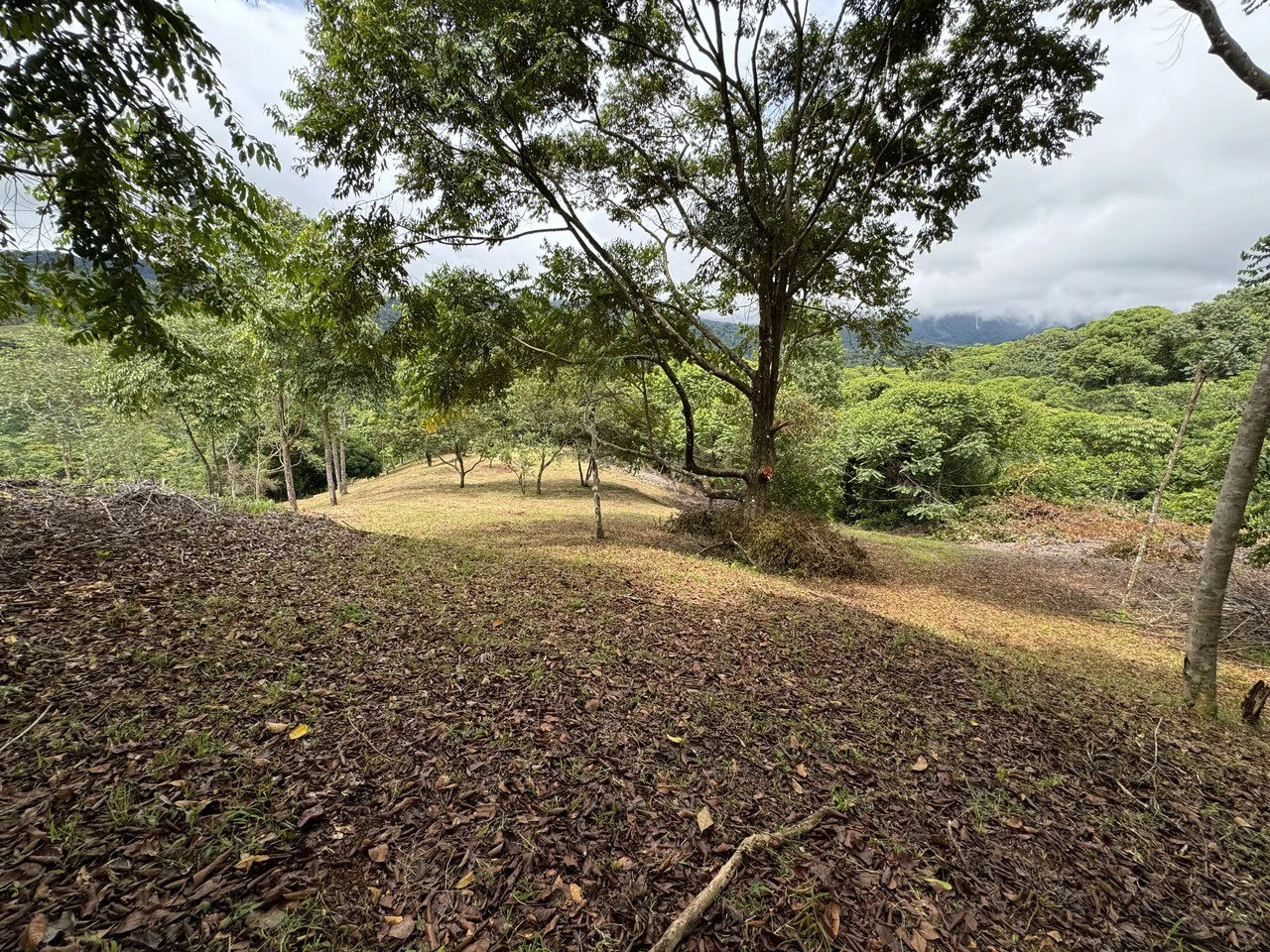 Diamante Waterfall View Land in Dominical 2.9 Acres - Gallery image 10