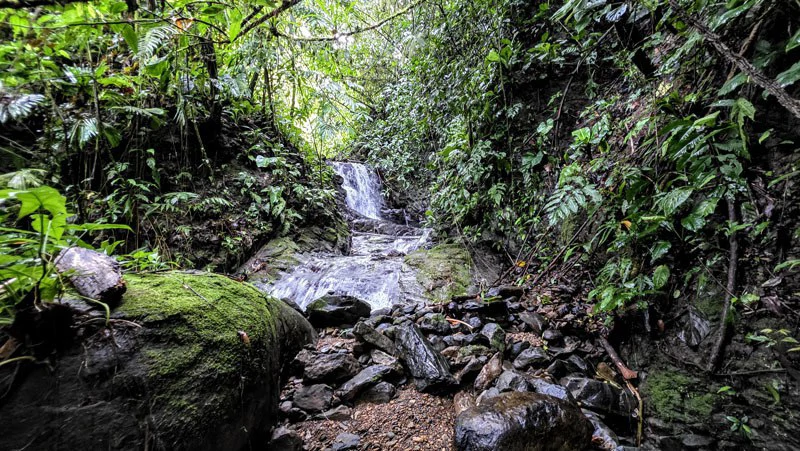 Waterfall Estate, Dos Bocas, Dominical Featuring Twin Waterfalls, Springs, Creeks & Rivers - Gallery image 25