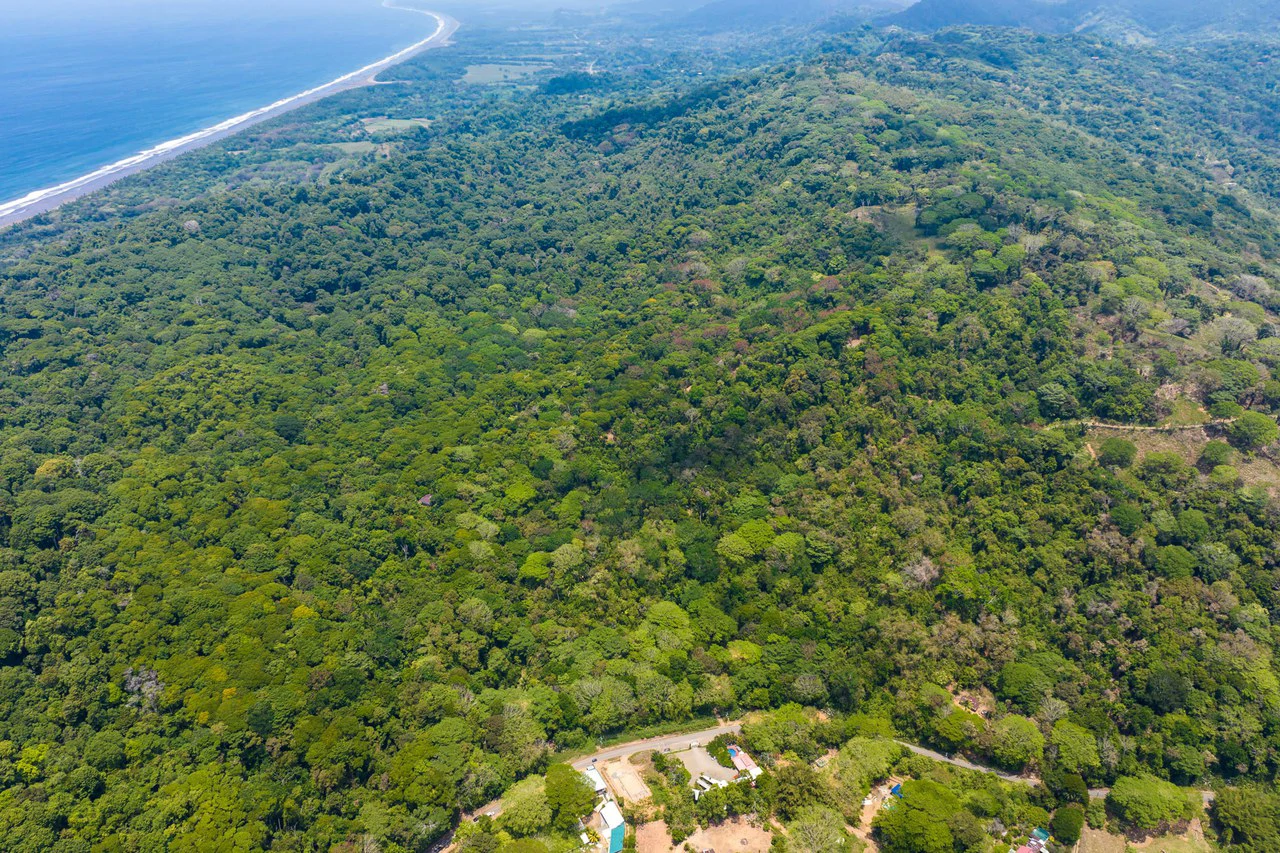 Rare 86-Acre Ocean View Estate Bordering Hacienda Barú – A Unique Opportunity for Conservation and Development - Gallery image 16