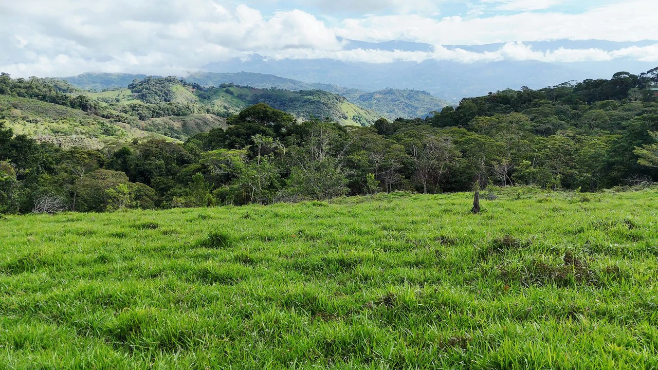 Mountain Agricultural Land For Sale in San Isidro del General - Gallery image 2