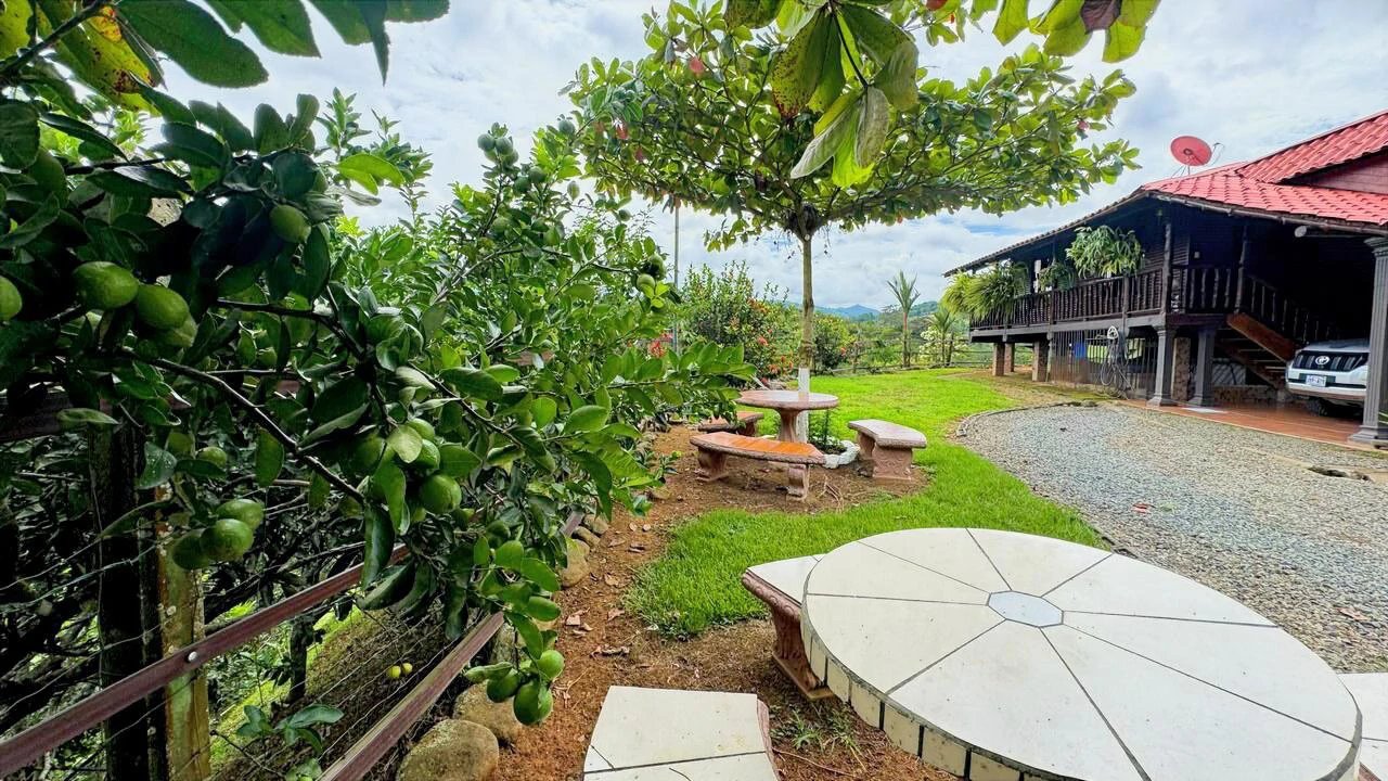 Charming Hardwood Cabin with Fruit Garden Near San Isidro - Gallery image 31