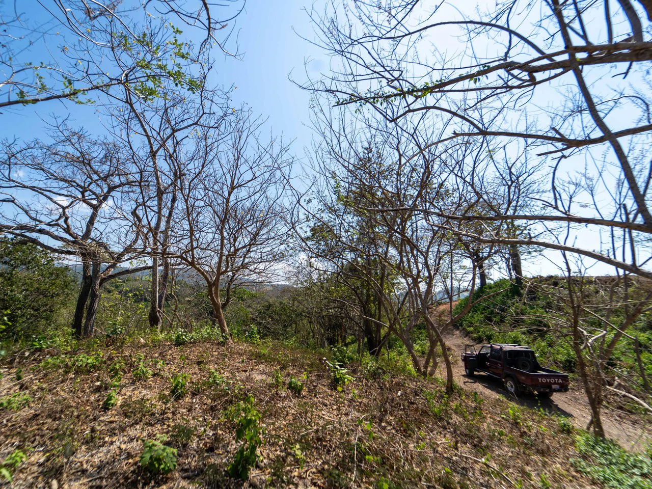 Finca Punta Indio: Dream Investment Opportunity - Gallery image 8