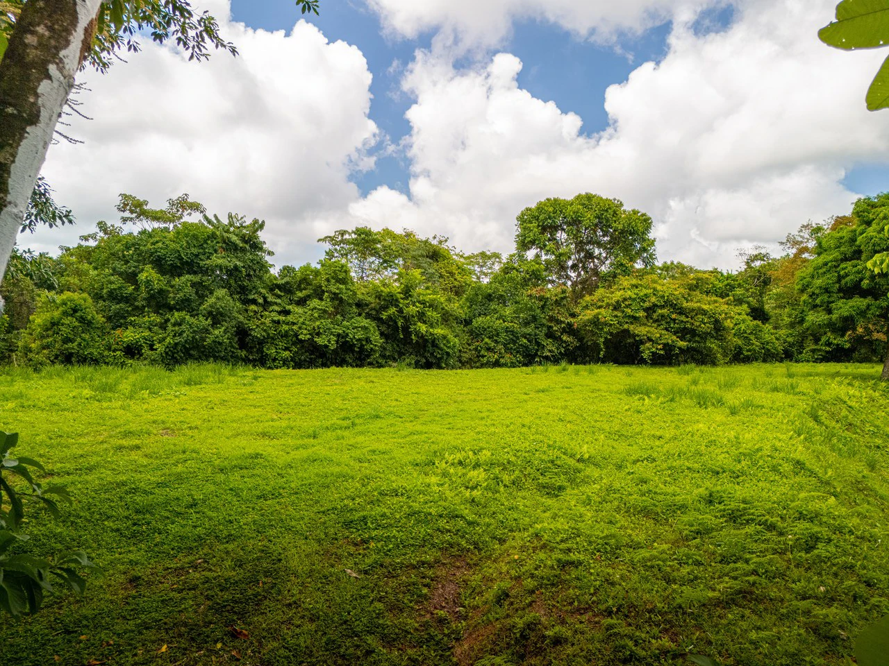 Tropical Paradise in Cascada Sándalo, Tres Ríos Ocean & Mountain Views | Gated Community | Abundant Nature - Gallery image 2