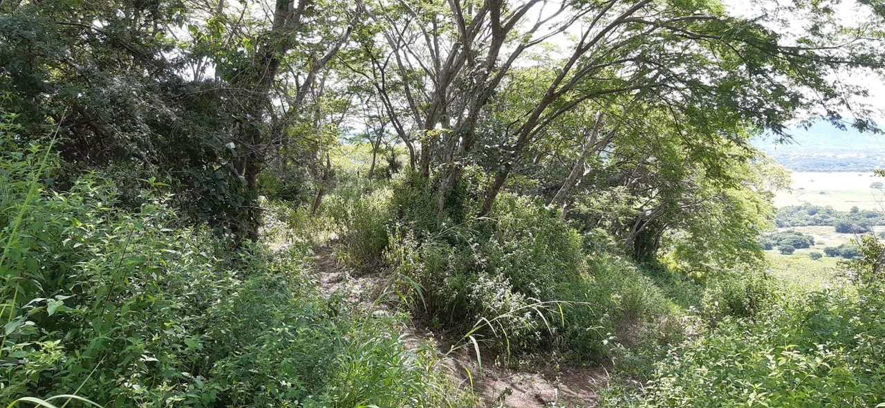 FINCA WITH BREATHTAKING MOUNTAIN VIEWS IN SANTA CRUZ - Gallery image 3