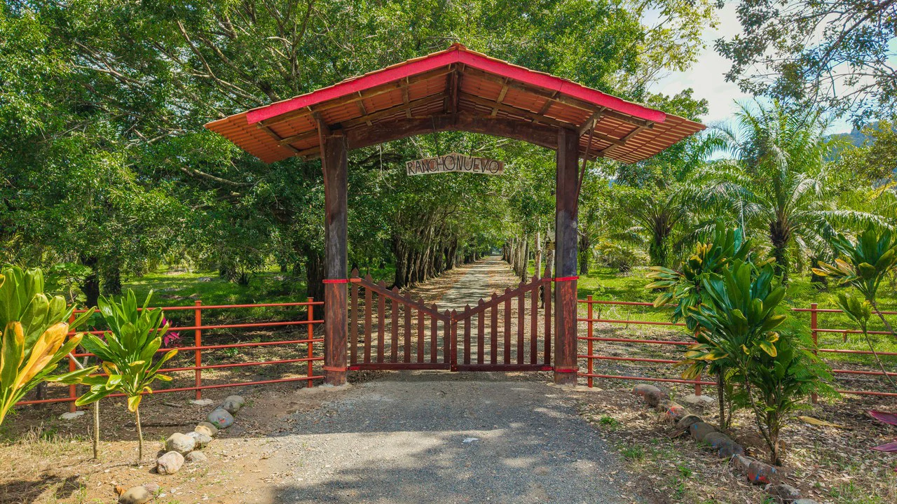 4,850 Acre Beachfront Legacy Ranch Esterillos Central Pacific Coast - Gallery image 32