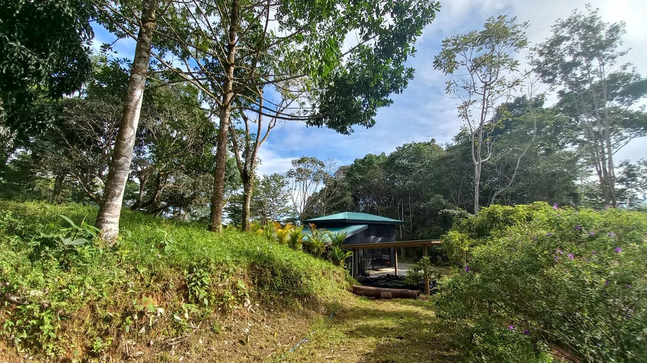 Home with Additional Building Areas and Creek on 3.5 Acres - Gallery image 37