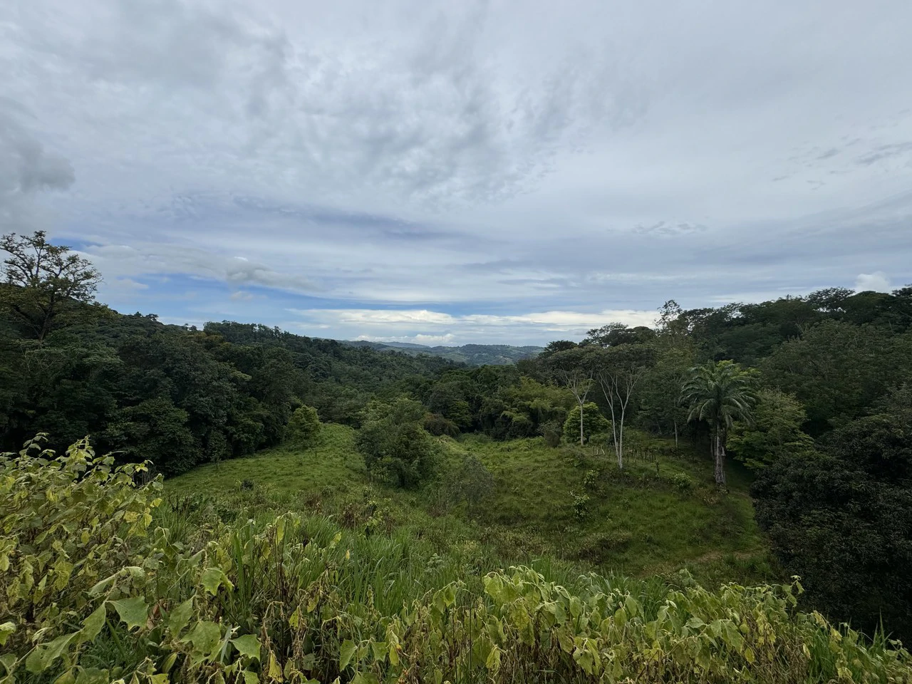 19 Acre Riverfront Lot with Private Waterfall la Perla Dominical - Gallery image 23