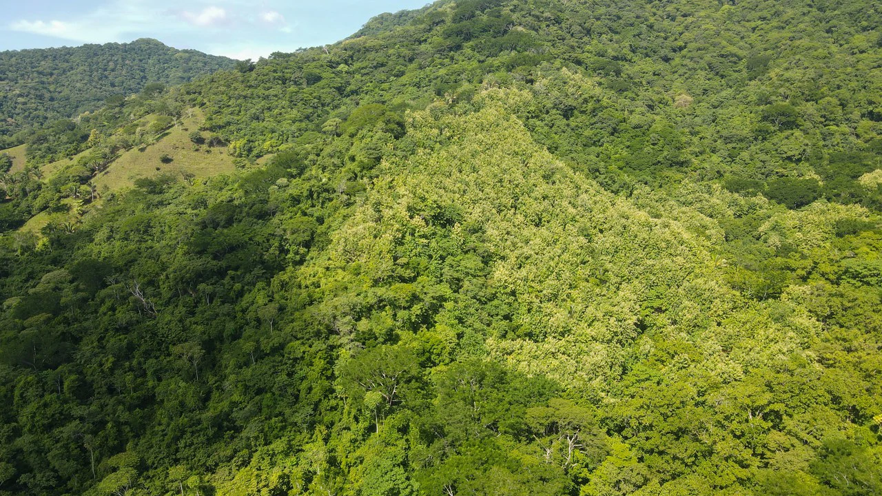 Farm for sale Bejuco Nandayure Guanacaste Costa Rica - Gallery image 2