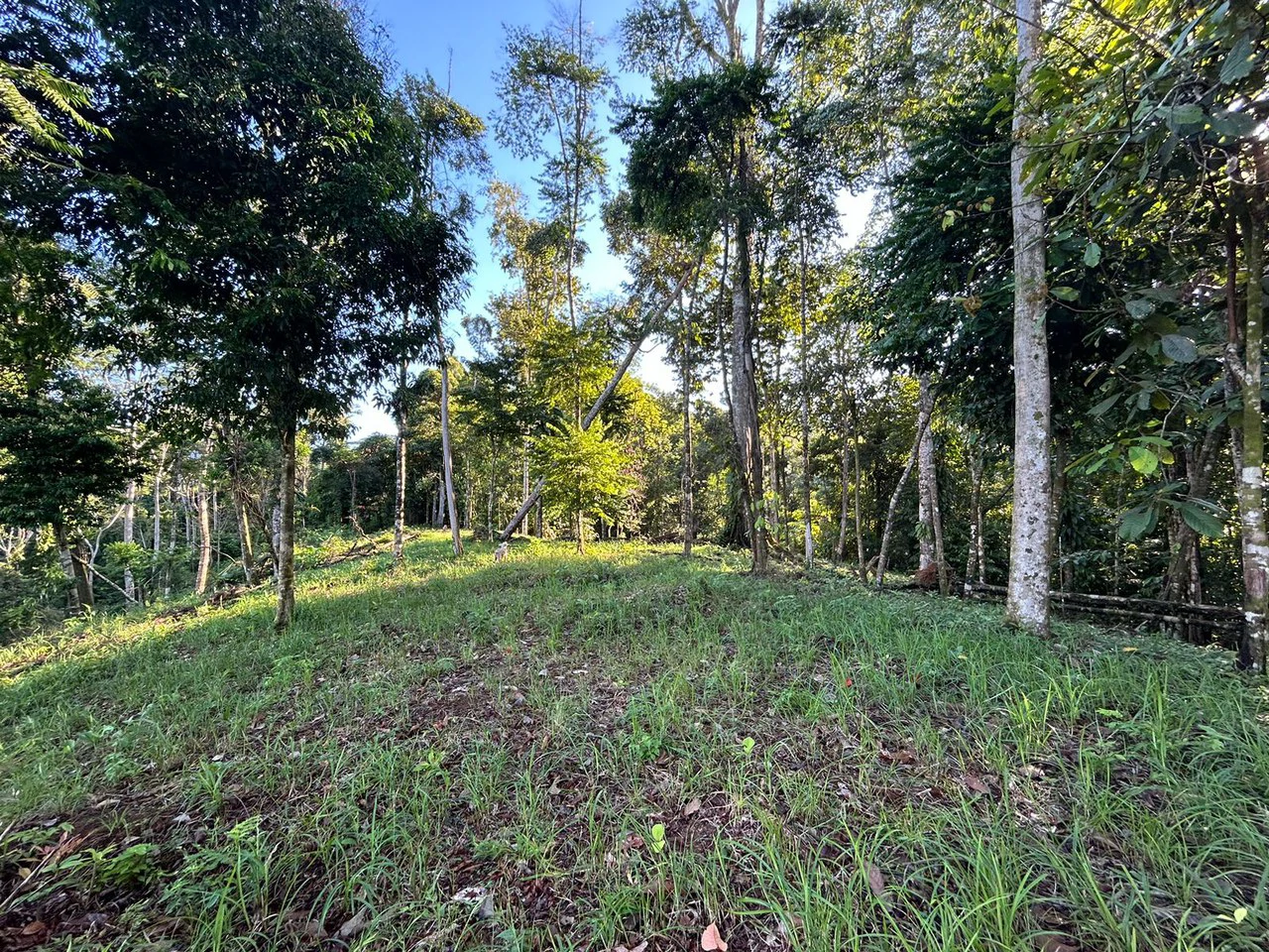 Marvelous Ocean View Parcel in Uvita. - Gallery image 26