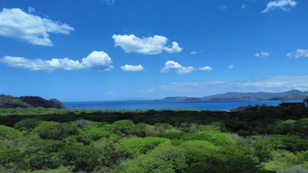 5.67 Hectares in Puerto Viejo: Prime Development Parcel Just 2 Mins from the Beach - Gallery image 15