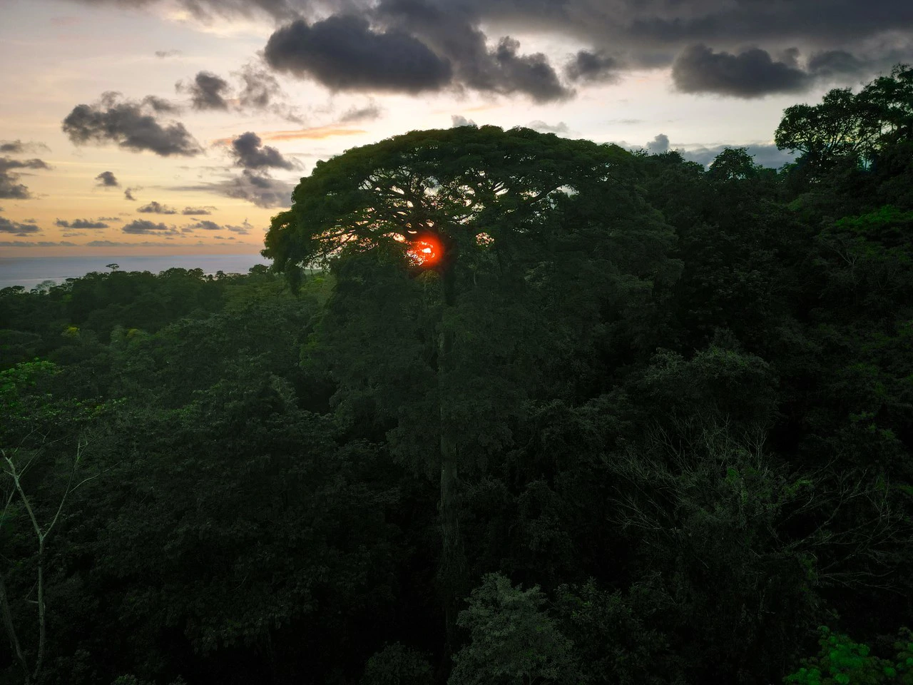Build Your Vision in Uvita – 15.9 Ocean View Acres with Easy Access + Utilities Ready! - Gallery image 12