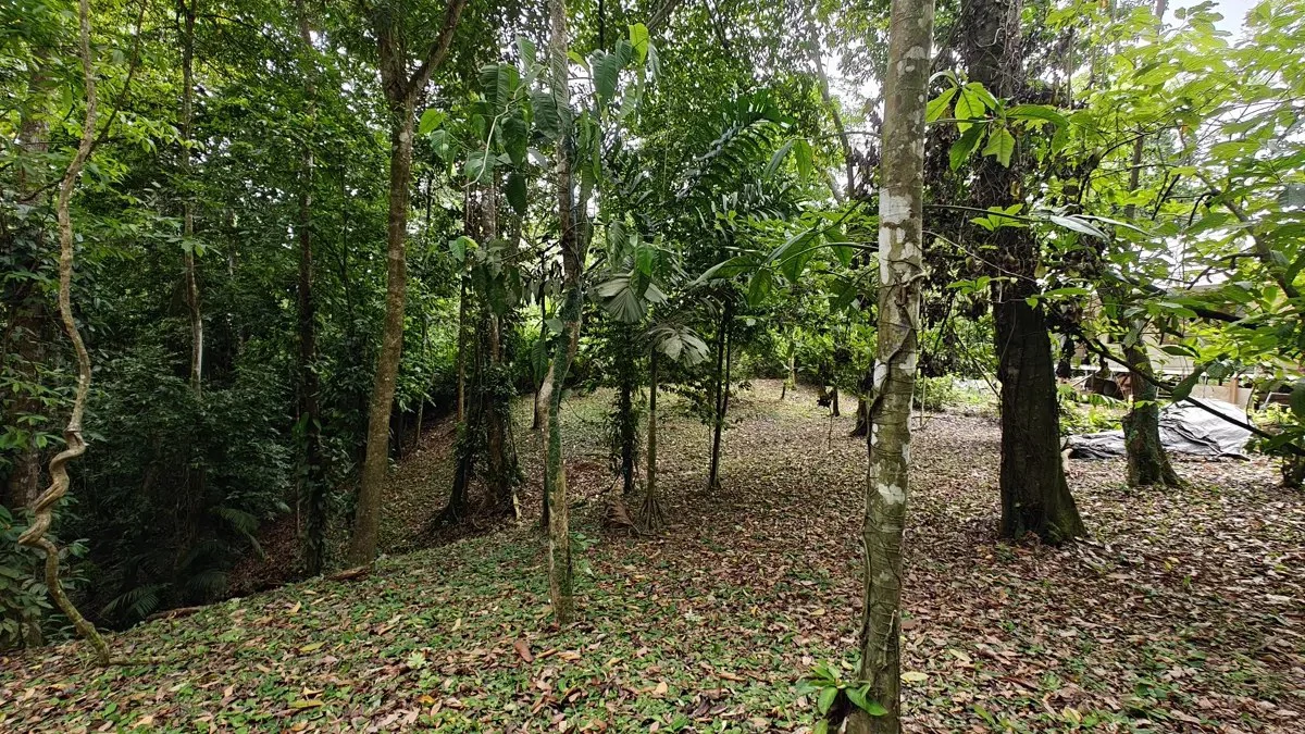 ID 1121: 1,979m² Titled Lot - Last Available Lot in Punta Uva Hills - Near Punta Uva Beach - photo 5