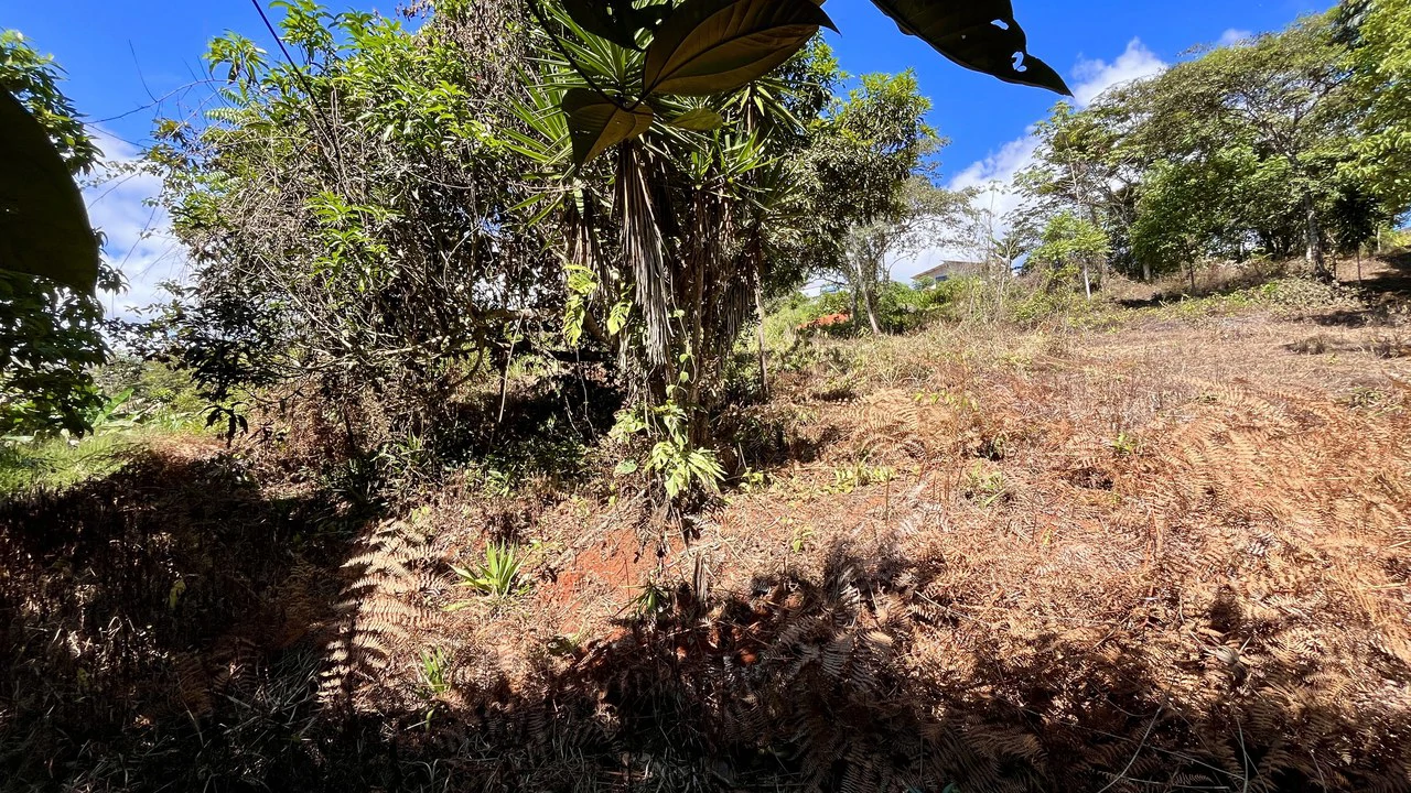 Home Construction Site For Sale in Pavones - Gallery image 25