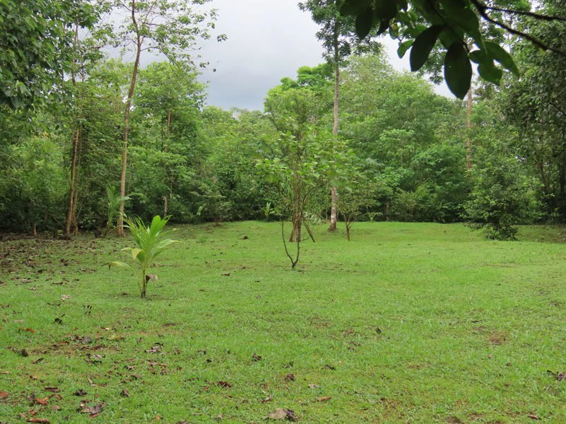 Land For Sale in Dos Brazos, Puerto Jimenez, Ideal For Home Surrounded by Nature - Gallery image 16