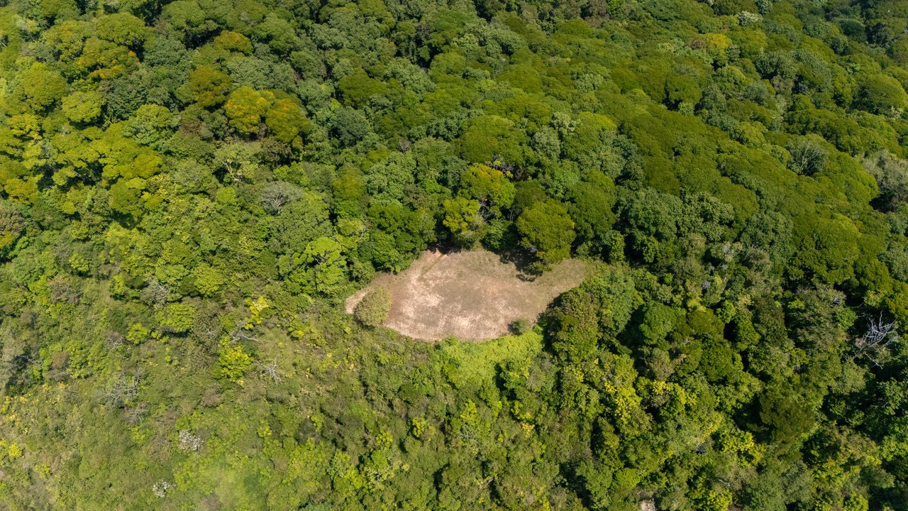 136 Acres of Oceanview Land with Multiple Building Sites | A Rare Development Opportunity in Costa Rica - Gallery image 19