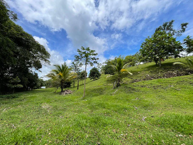 LG-001: Rare 3.36-Acre Lakefront Estate Lot in Nuevo Arenal | Direct Lake Access, Volcano Views & Subdivision Potential - Gallery image 19