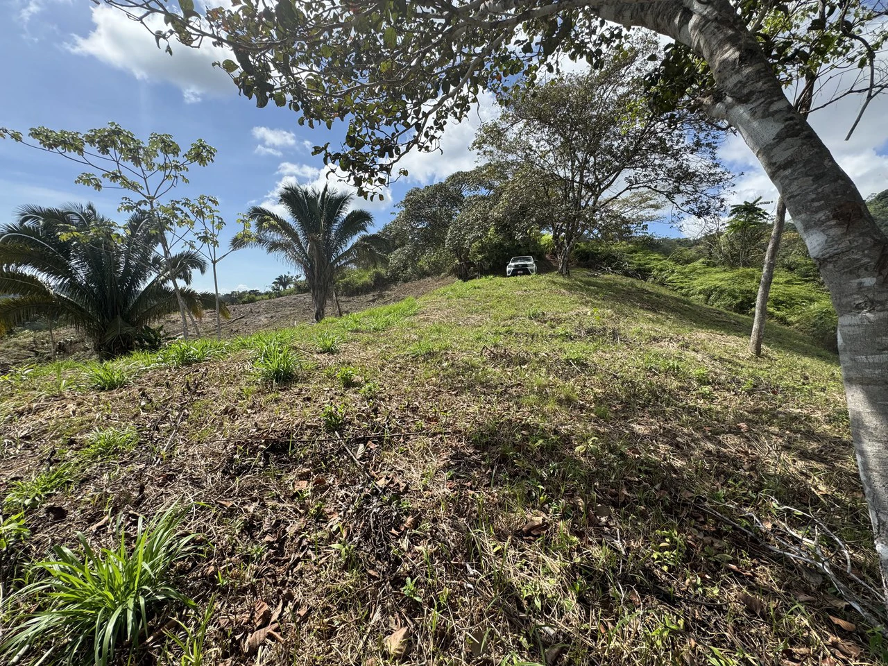 12 Acre Ocean View Farm in a Private Agricultural Community - Gallery image 20