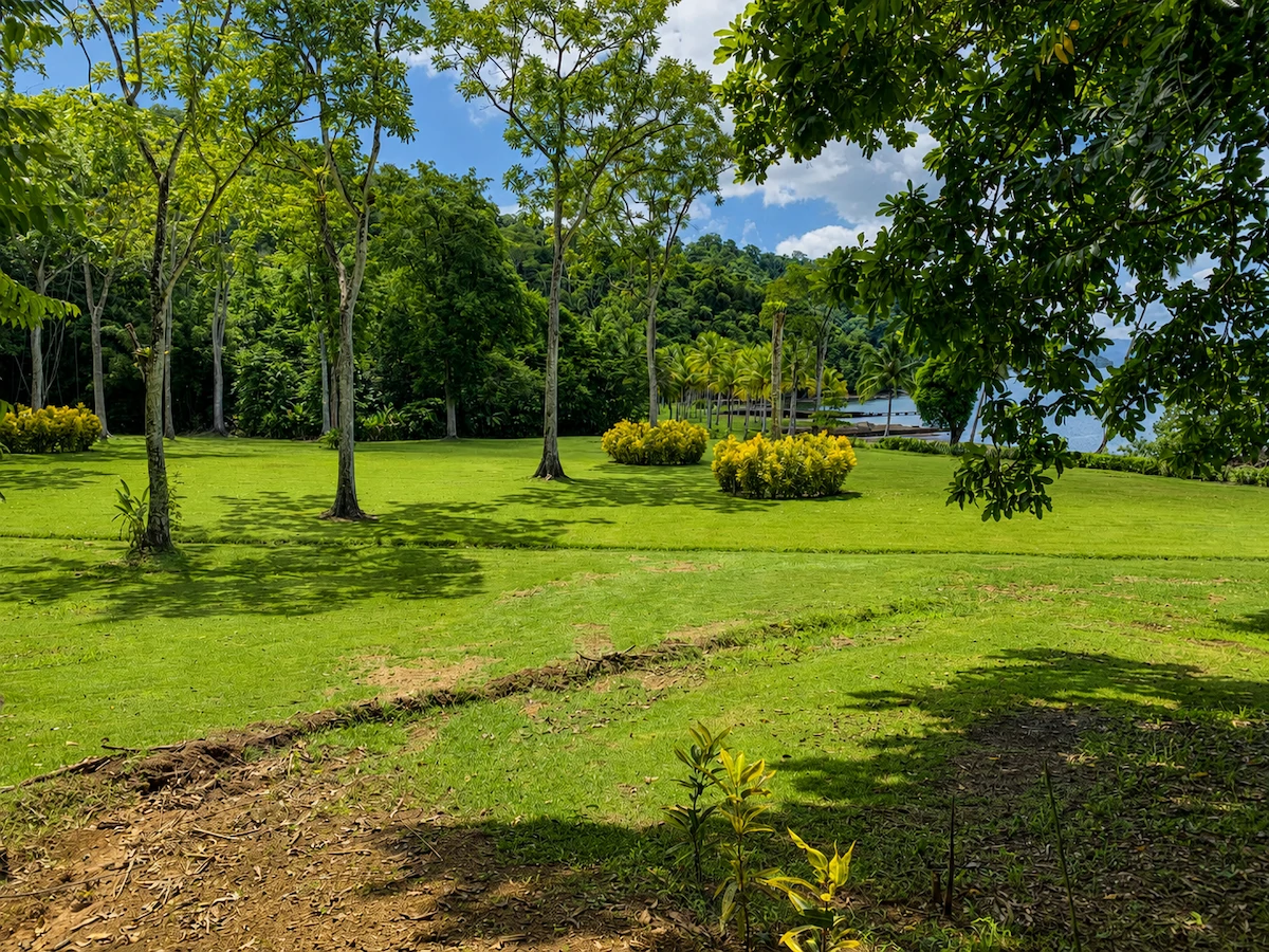 Spectacular Coastal Rainforest Estate Property - Gallery image 12