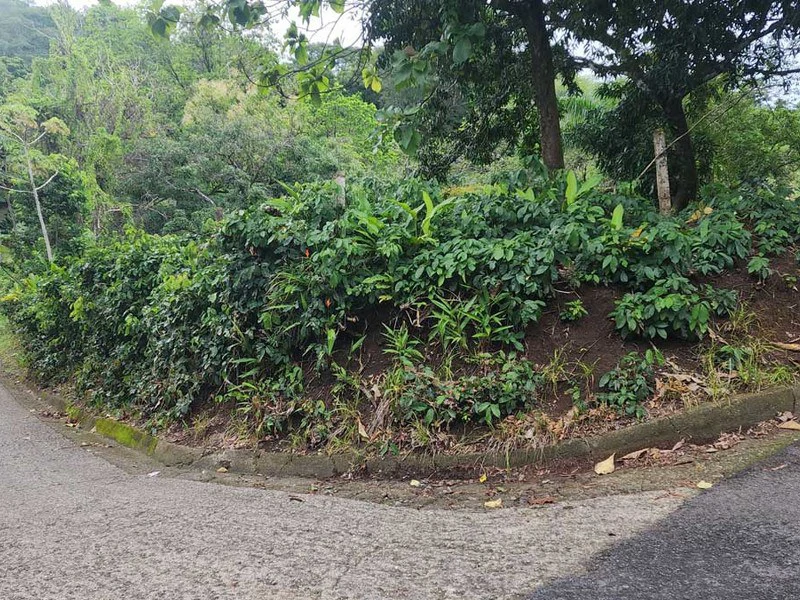 Subdividable lot in Manuel Antonio - Gallery image 2