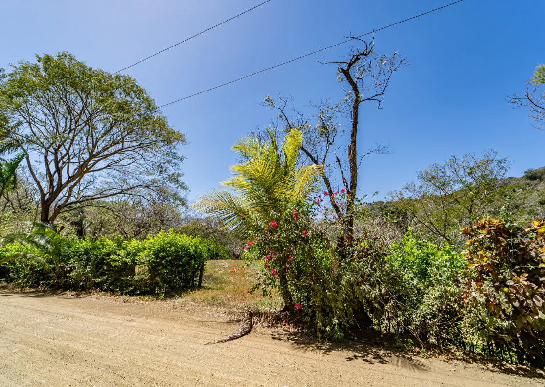 Lote del Bosque: Beautiful Acre Lot in Montaña - Gallery image 7