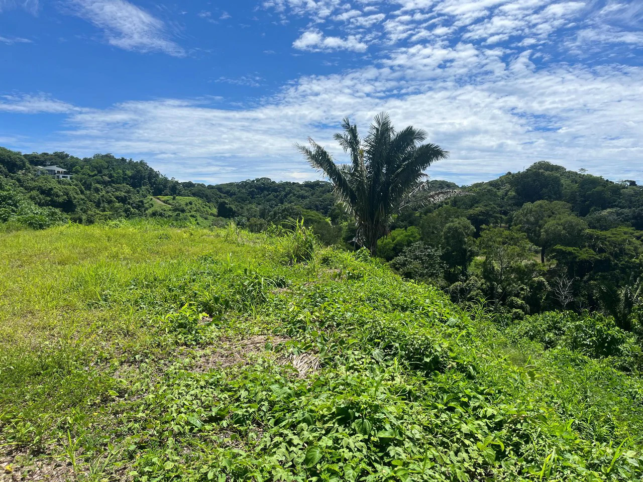 Lot Micky: Perfect Construction Opportunity Near Samara Beach - Gallery image 8