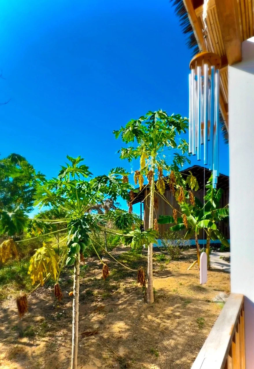 The Ark: $1,390,000 USD Luxury Jungle Estate with Guest House in The Ark Community, Santa Teresa Costa Rica - Gallery image 42