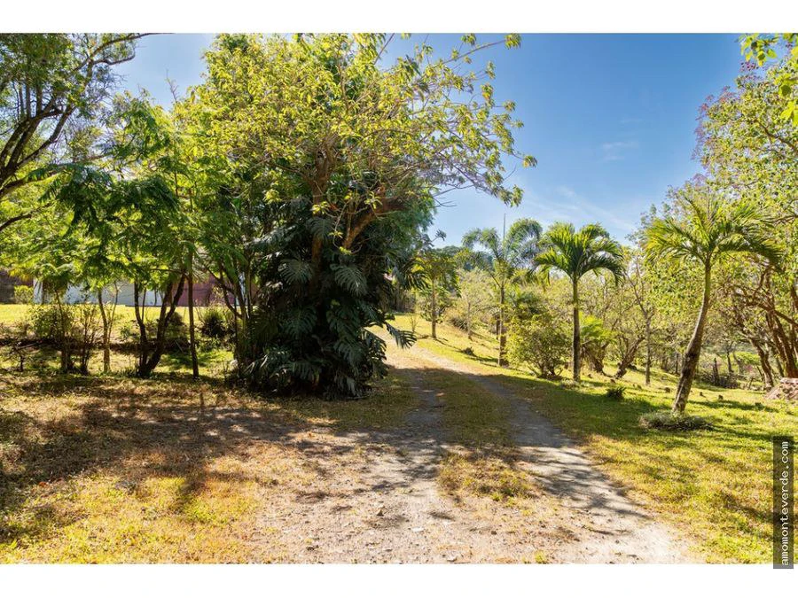 5-Acre Property with 2 Houses and Stunning Nicoya Gulf Views  CE0324: 5-Acre Monteverde Retreat with Two Homes and Stunning Gulf of Nicoya Views – Ideal for Eco-Projects or Private Living - Gallery image 17
