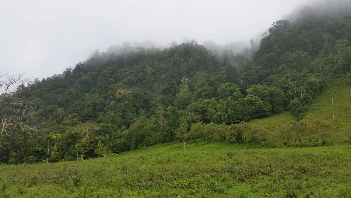 Finca Tesoro Escondido - The Jewel of Uvita - Gallery image 5
