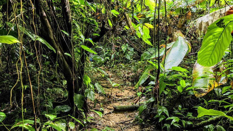 Waterfall Estate, Dos Bocas, Dominical Featuring Twin Waterfalls, Springs, Creeks & Rivers - Gallery image 23