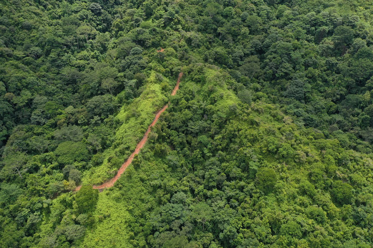 137 Acre Ocean View Farm with Riverfront in Southern Costa Rica - Gallery image 17