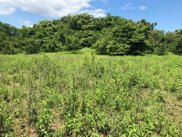 Amazing 50% discount for Huge ocean-view farm for sale surrounded by soft rolling hills and pristine nature - Gallery image 20