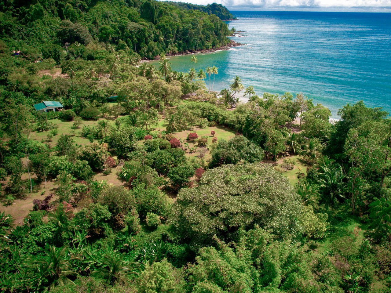 Casa Bromelia: Drake Bay Beachfront Paradise Property Near Corcovado - Gallery image 2