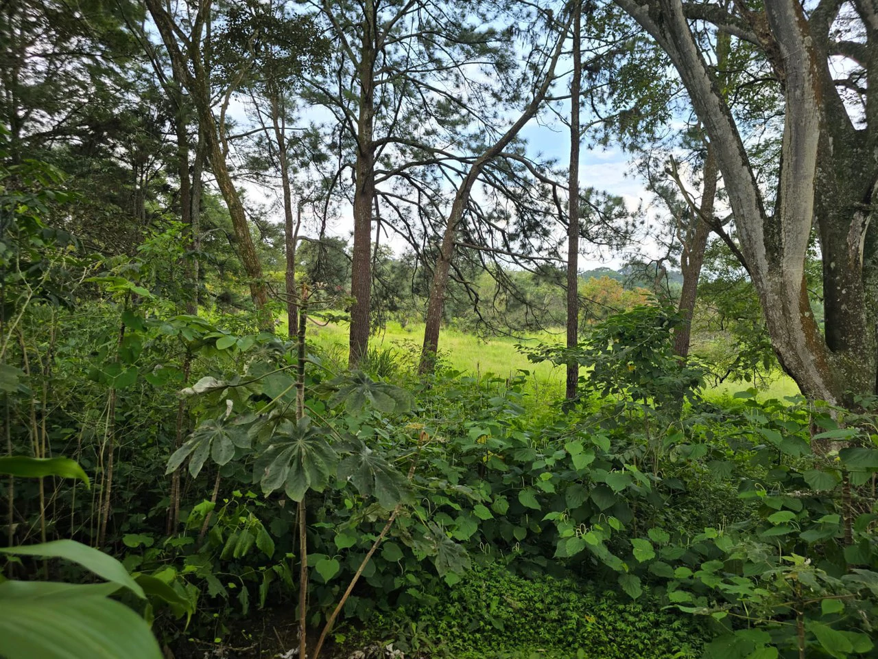 Land for sale in Residencial Montisel - Gallery image 9