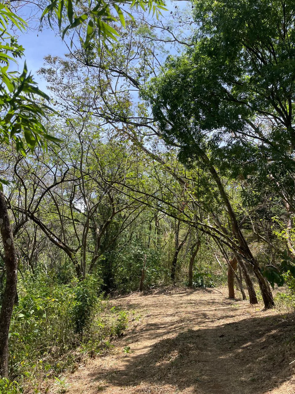 Ocean view property for sale Rodeo Ciudad Colon San Jose Costa Rica - Gallery image 15