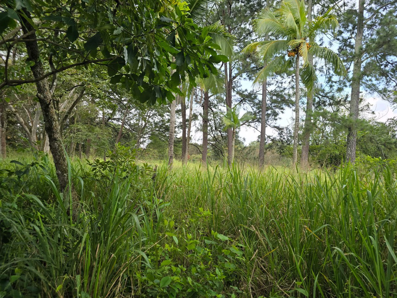 Land for sale in Residencial Montisel - Gallery image 5